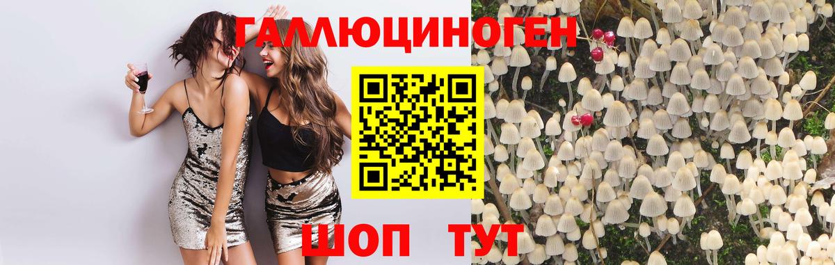 наркота  Псилоцибиновые грибы мухоморы  Вход с VPN  Славянск-на-Кубани  Псилоцибиновые грибы ЛСД 