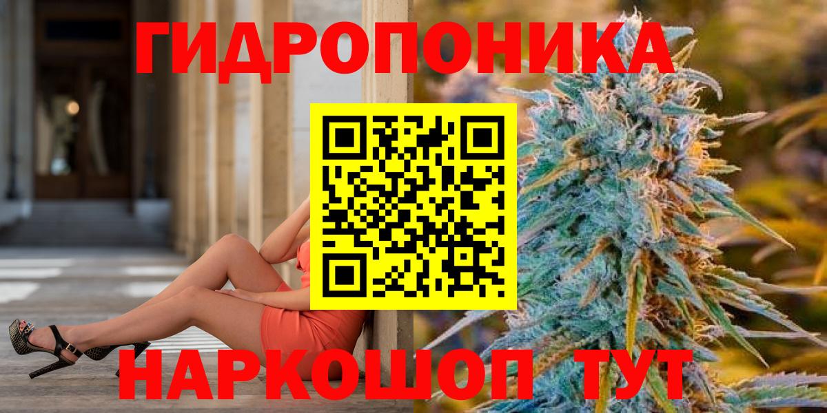 Бошки марихуана семена  Вход с VPN  Славянск-на-Кубани  Конопля White Widow  Конопля White Widow  Каннабис гибрид 